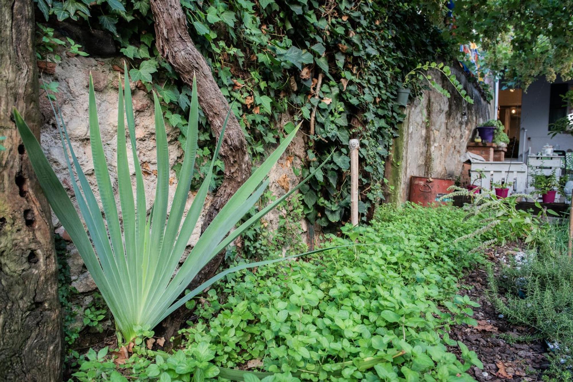 Casa Babbuino Ξενοδοχείο Βερόνα Εξωτερικό φωτογραφία