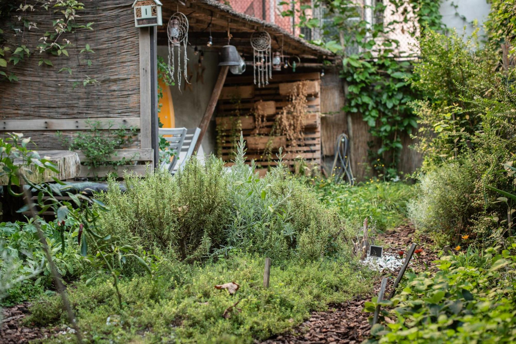 Casa Babbuino Ξενοδοχείο Βερόνα Εξωτερικό φωτογραφία